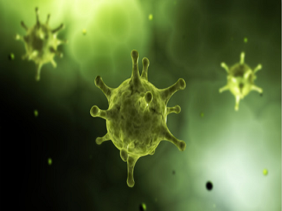 Быстрый тест на антитела: новый коронавирус