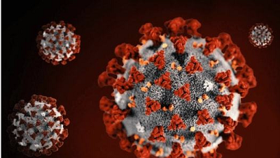 Covid-19 Antigen: American CDC предсказывает, что более 44000 человек могут умереть от Covid-19 в ближайшие четыре недели
