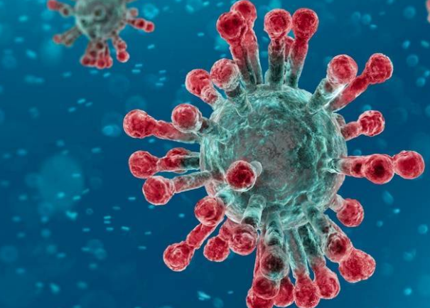 Новая разработка вакцины вакцины коронавируса